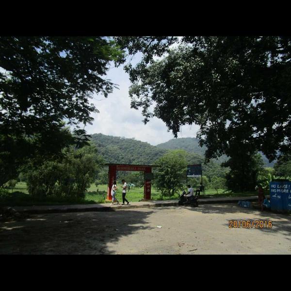 sun attracts tourists