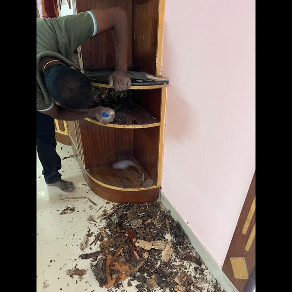 stops termites