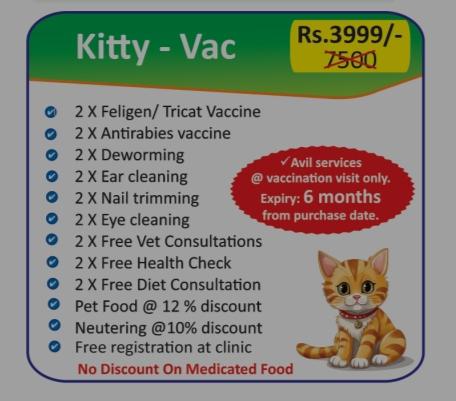 immediate pet medical care dad