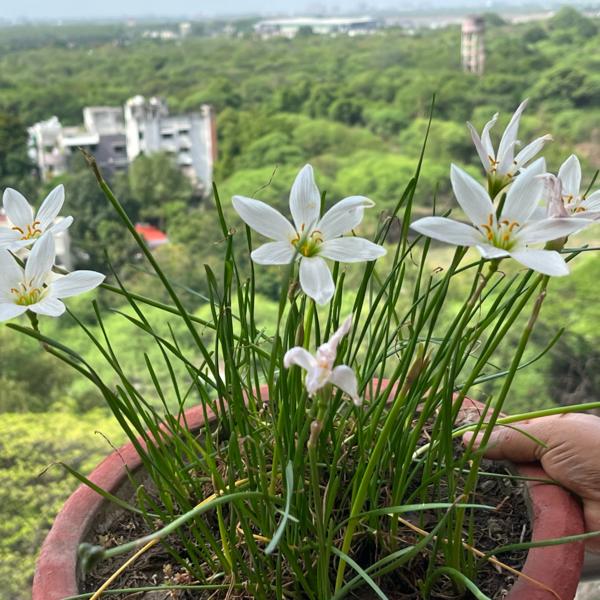 This World Environment Day, PrintME celebrates cre