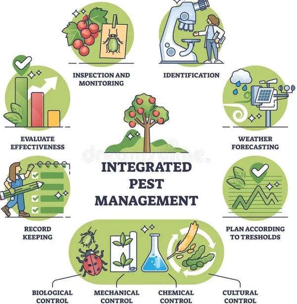 pest control in jasola