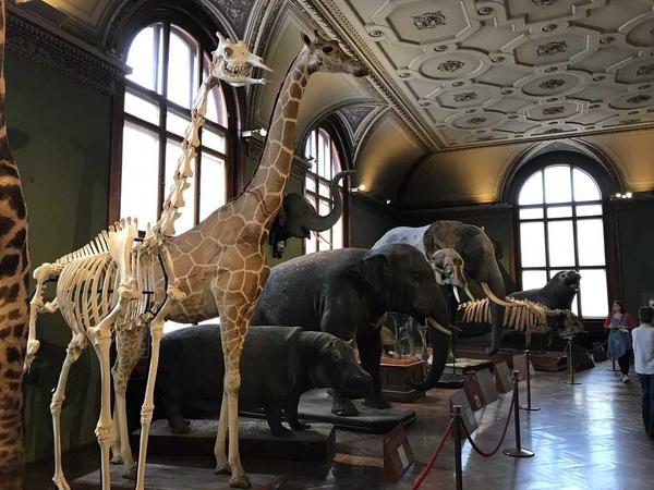 albert museum