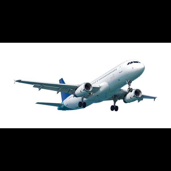 domestic and international fli