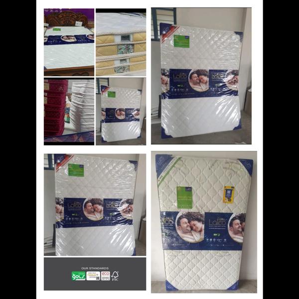 latest brands