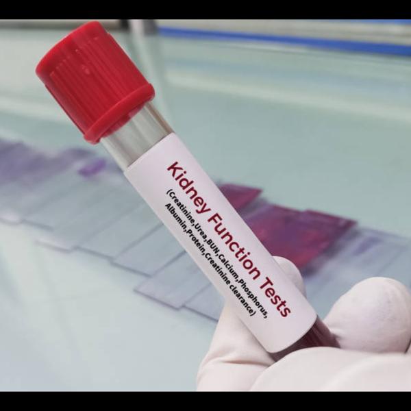 detect early kidney damage