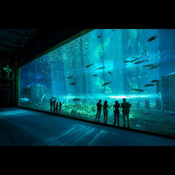 fish species and aquatic creat