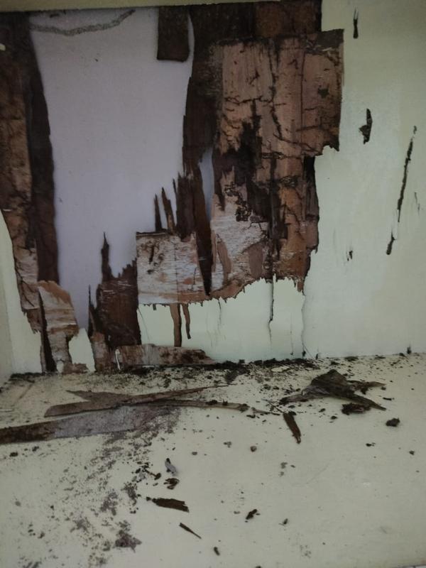 Wooden Cupboards damaged by Te
