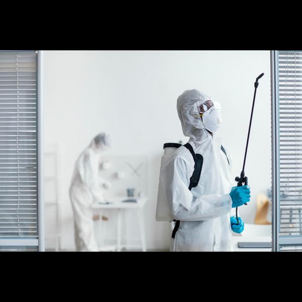 child safe pest control option