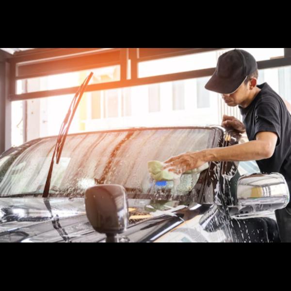 protecting car interior from d