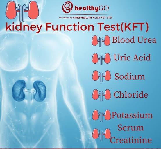 A Kidney F