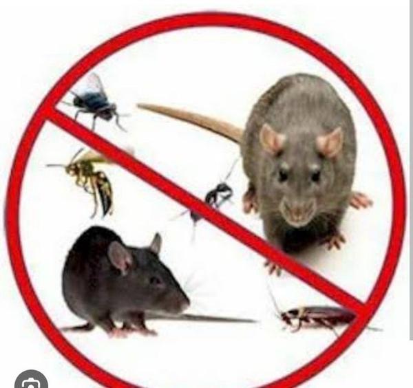 sealing entry points