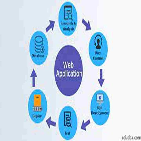 best web developers in palpann