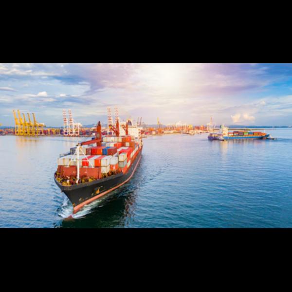 logistics experts