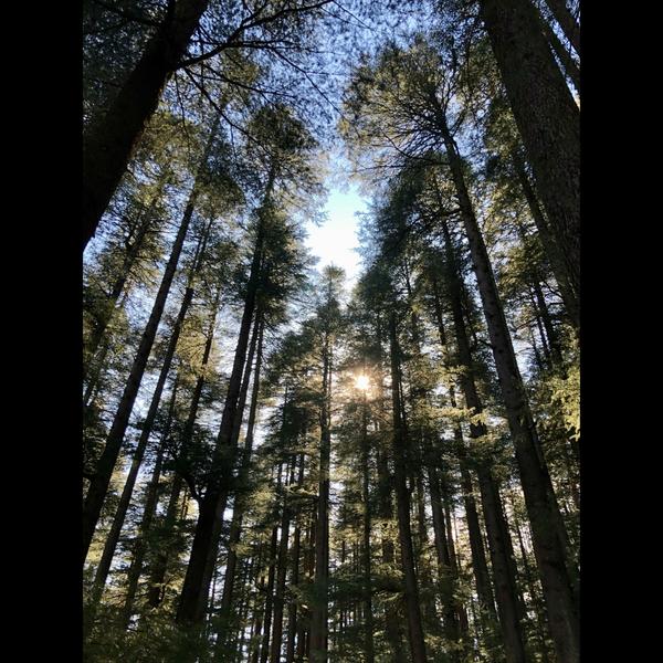 kashmir tour package