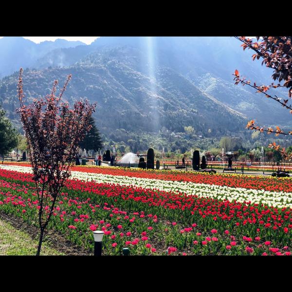 Manali tour package in Dharamp