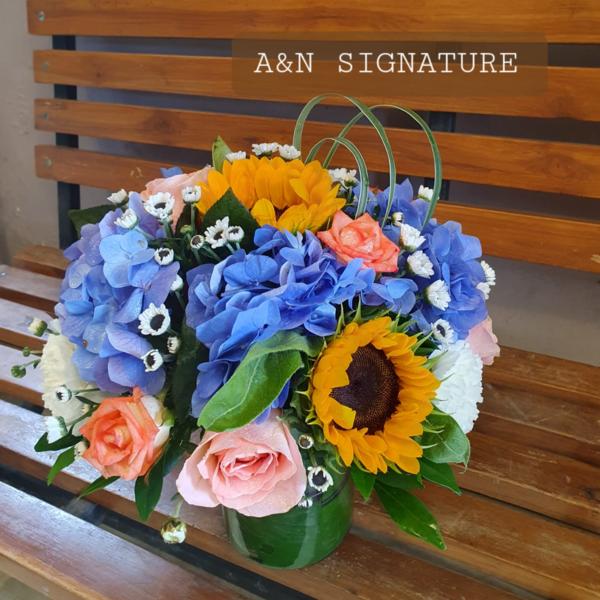 Only available in A& N Signatu