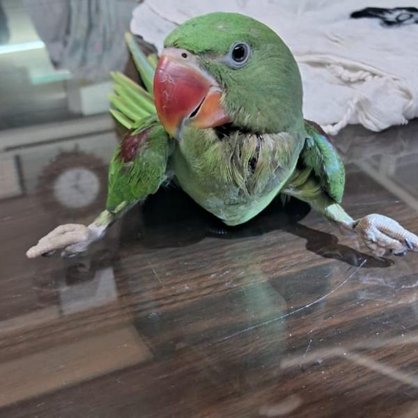 update image
