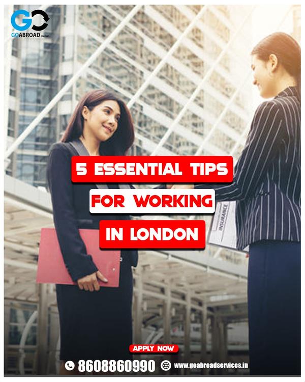 real world work experience for