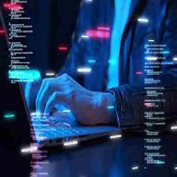 customized web development ser