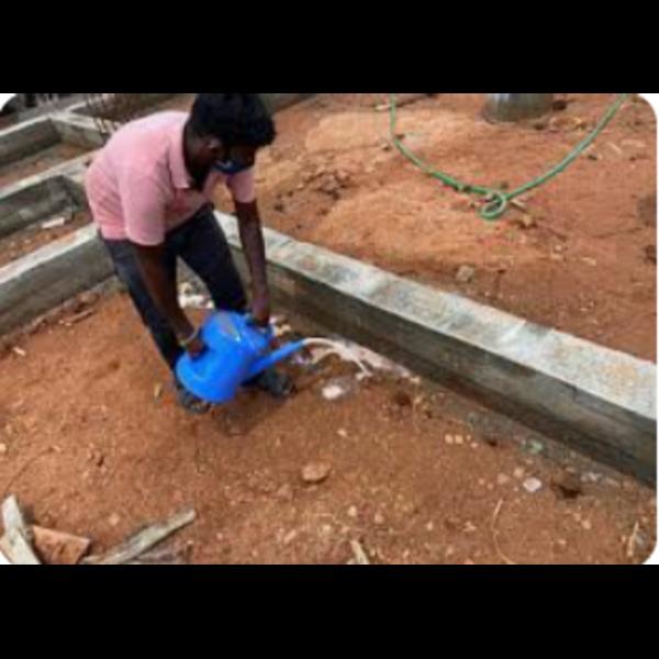 termite treatment pre and post