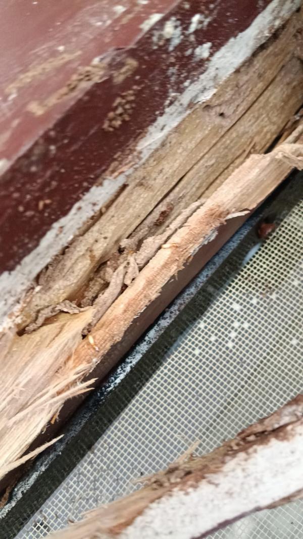 Termites damaged wooden frame