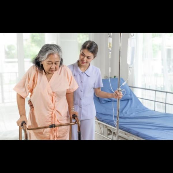 caretaker service providers va