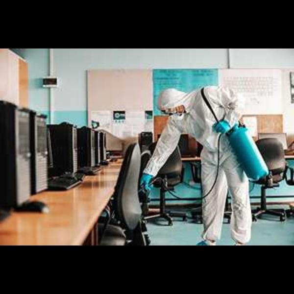 non intrusive office pest trea