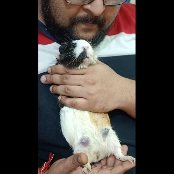 update image