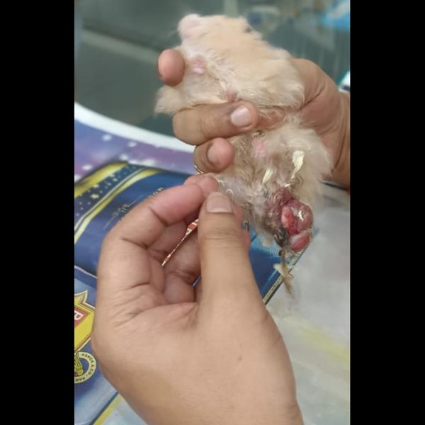 update image