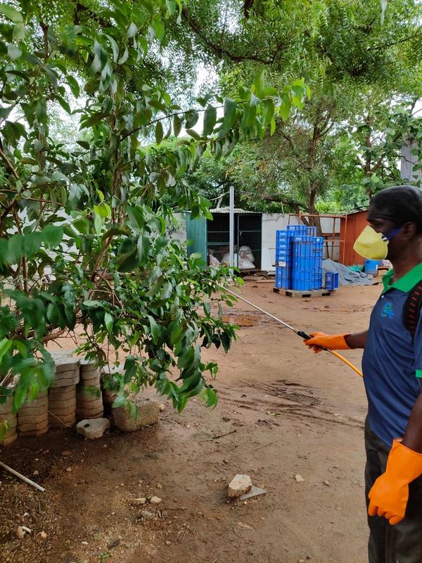 isha ashimam pest control