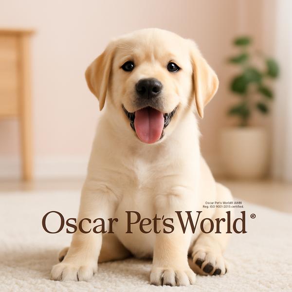 pet owners call