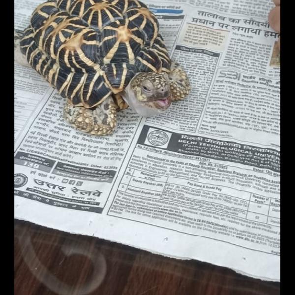 update image