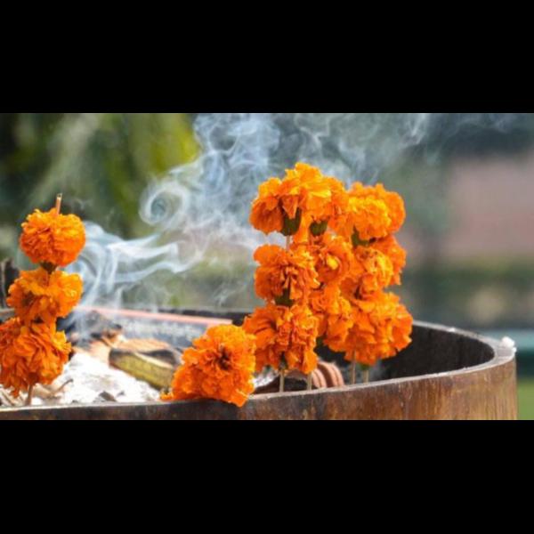 sacred pind pradanam ceremony 