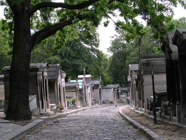 jim corbett national park