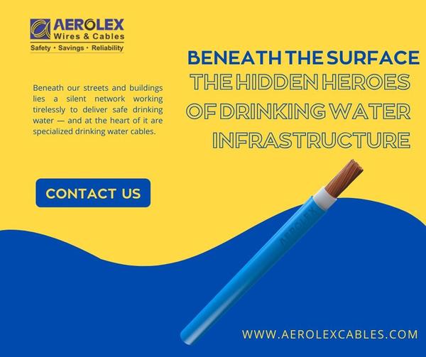 performance expectations allow