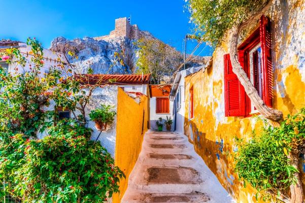 the greek taverna