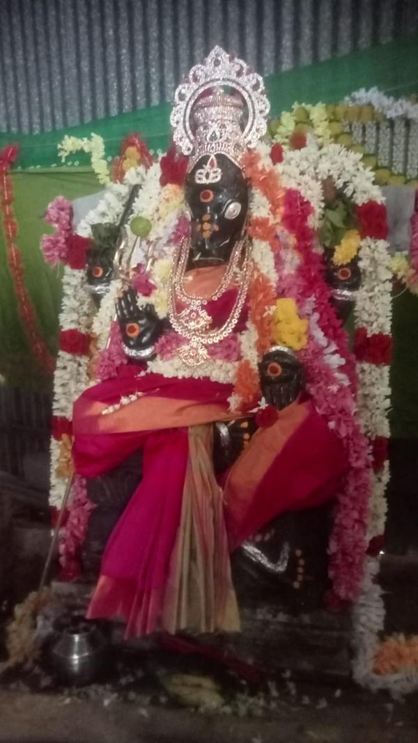 rahu ketu shanti puja astrolog