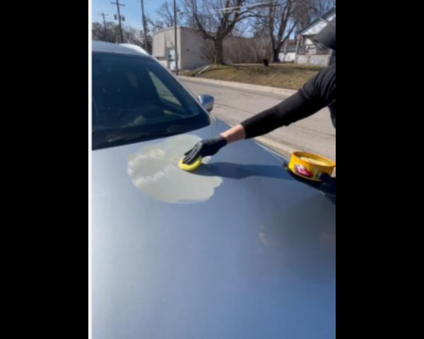 car graphic paste wax service
