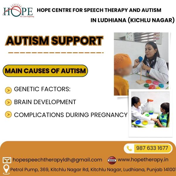 autism assessment services lud