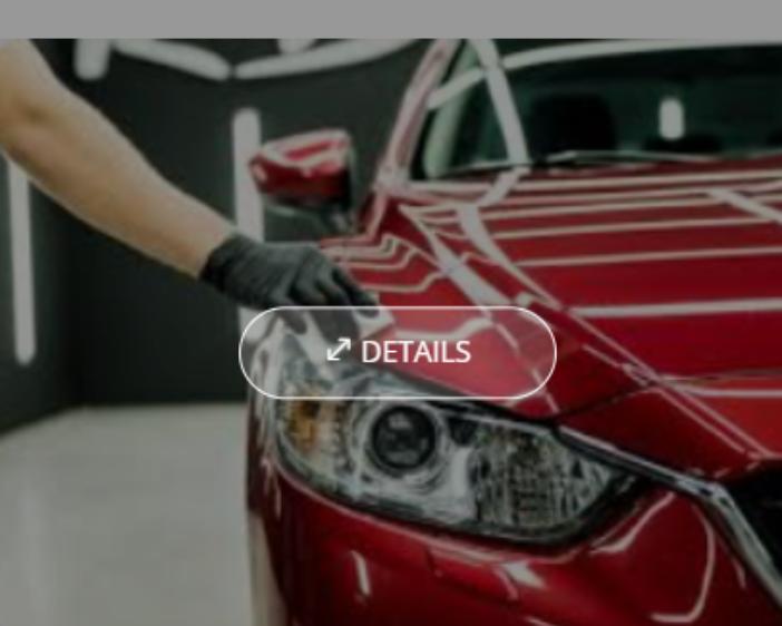 premium car washing service ma