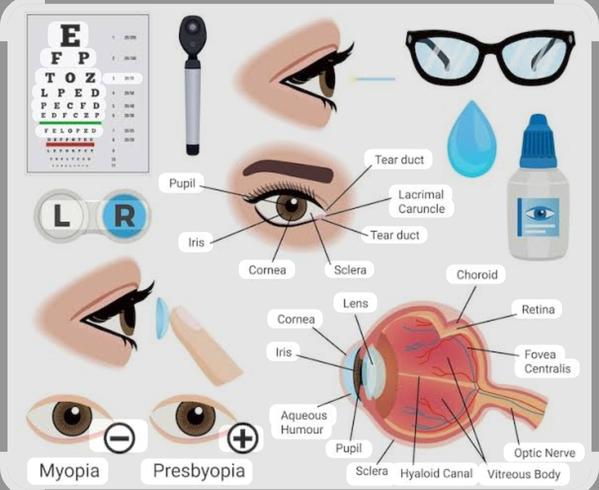 eyes check yearly