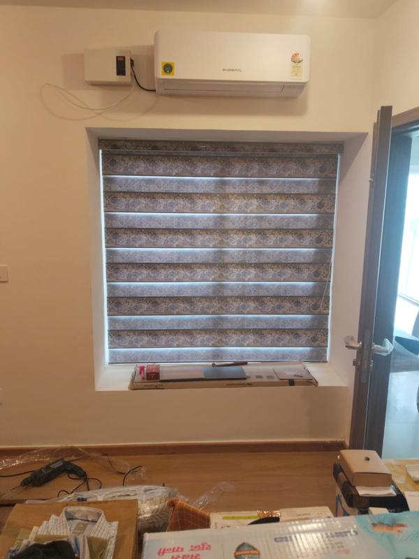 modern zebra window shades