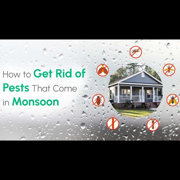 free site inspection