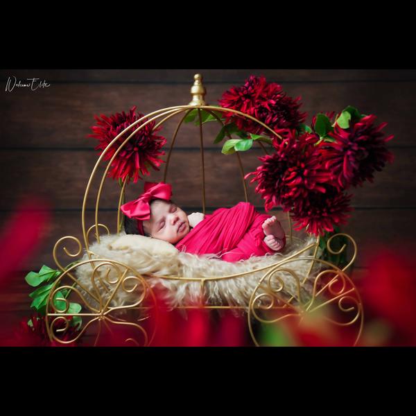 Red Princess Theme @welco