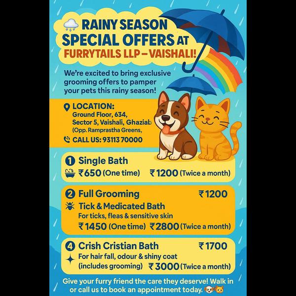 luxury pet stay and grooming s