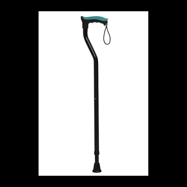 best walking stick for old age