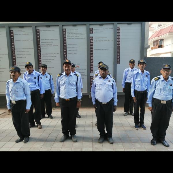 professional security guard se