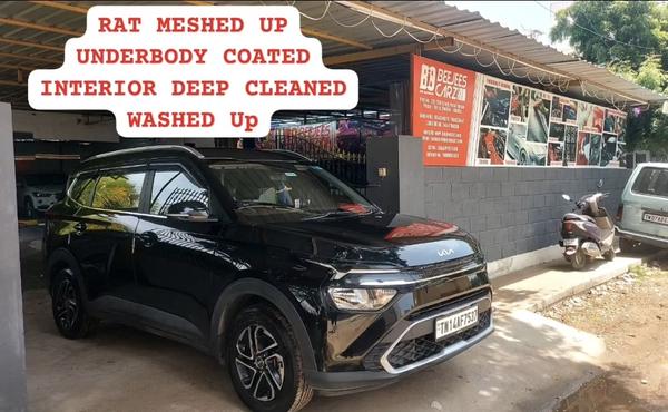 ida standard car detailing