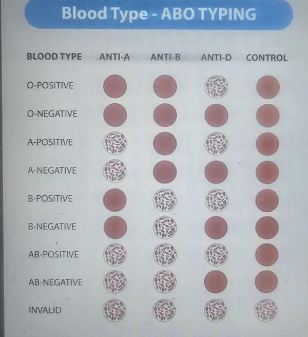abo blood group system
