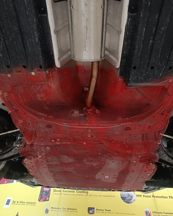 car rat mesh